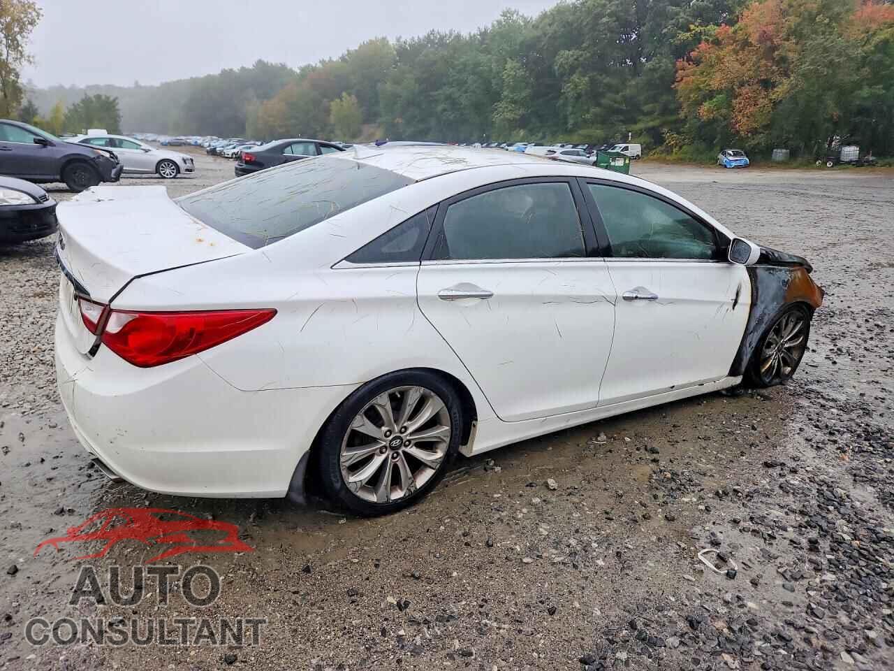 HYUNDAI SONATA 2012 - 5NPEC4AC8CH417953