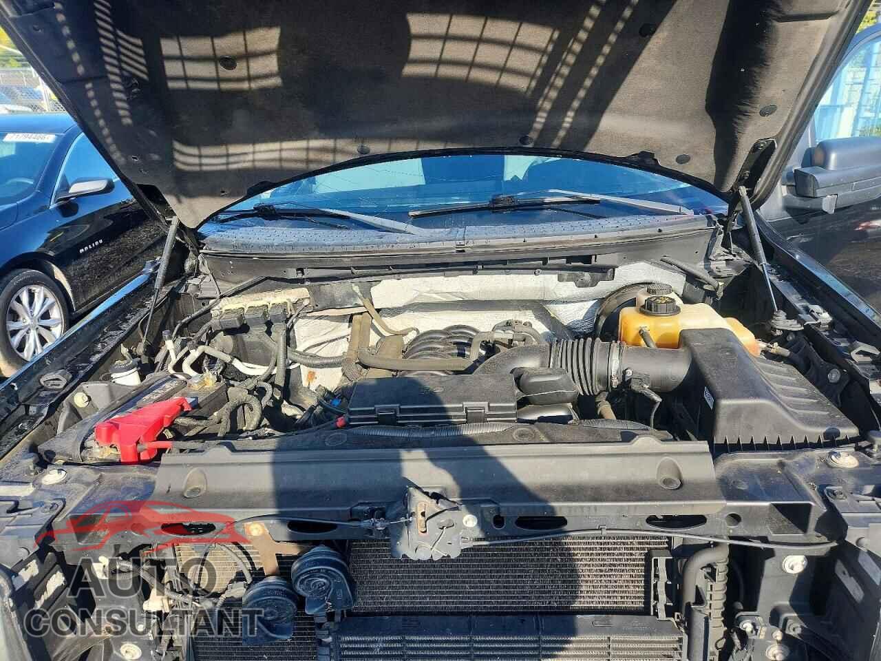 FORD F150 2013 - 1FTFX1CF6DFD95607