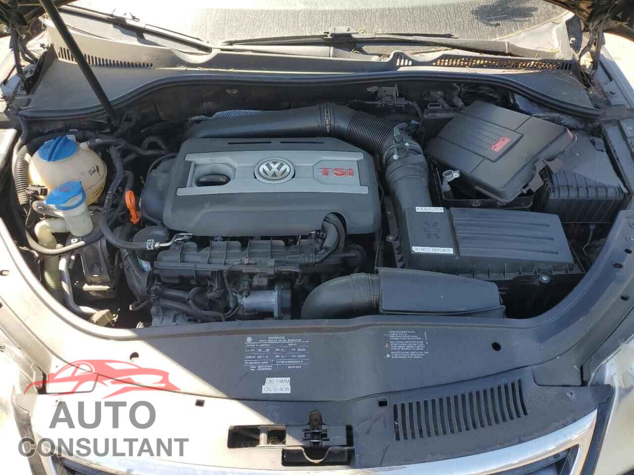 VOLKSWAGEN EOS 2009 - WVWFA71F39V015496