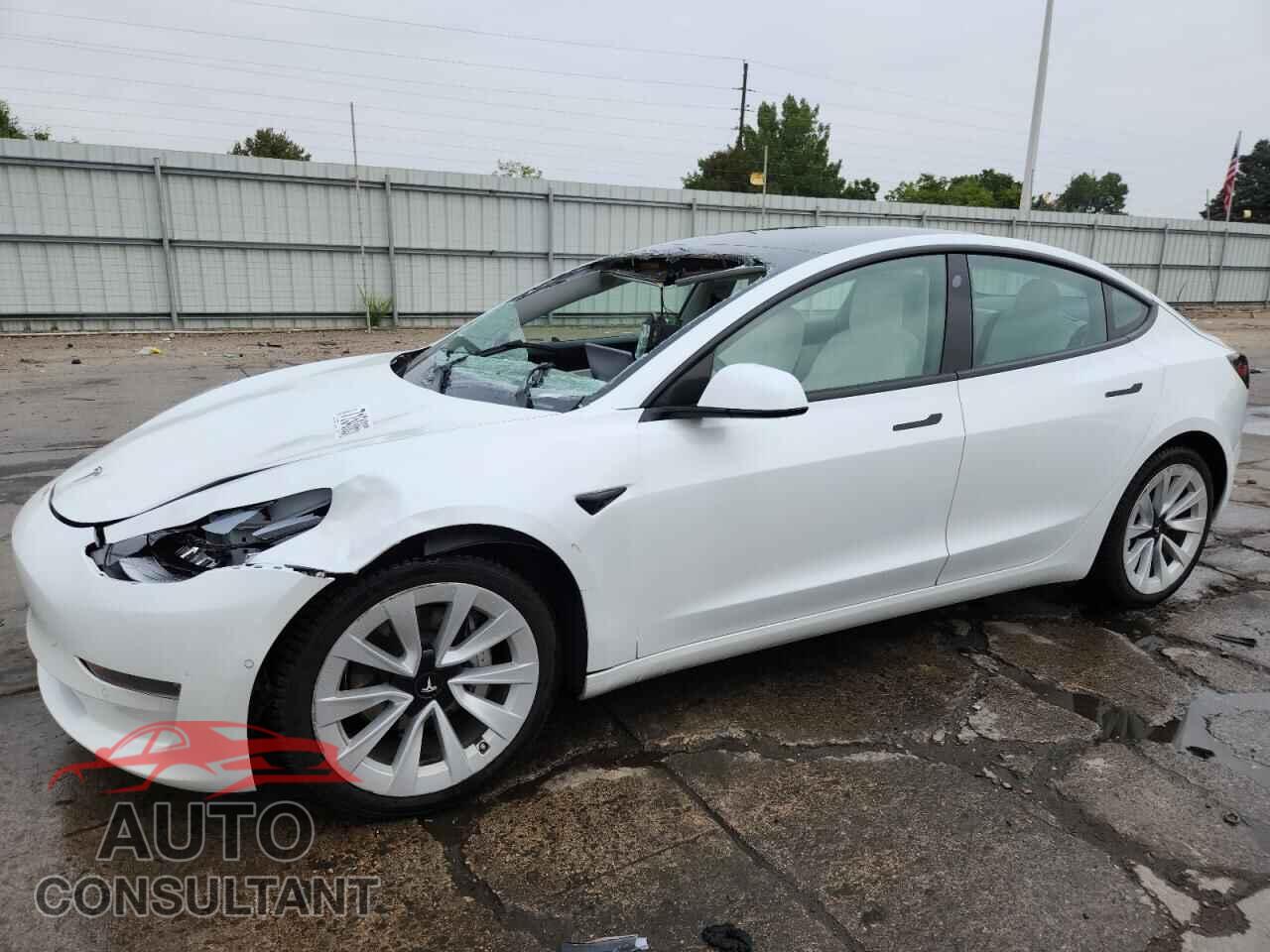 TESLA MODEL 3 2021 - 5YJ3E1EB9MF849971