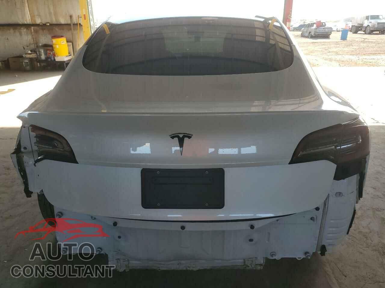 TESLA MODEL 3 2019 - 5YJ3E1EA3KF397178