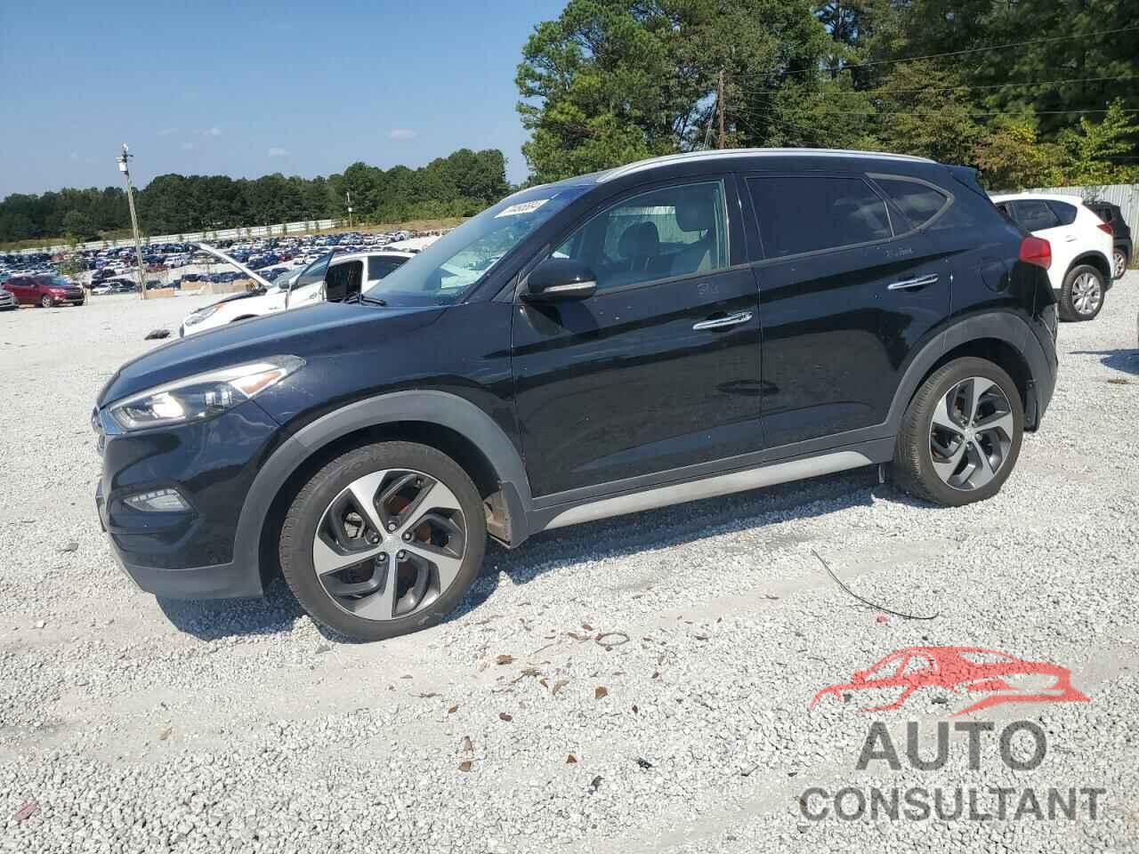 HYUNDAI TUCSON 2017 - KM8J33A20HU375366