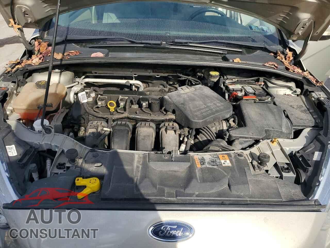 FORD FOCUS 2016 - 1FADP3F25GL261985
