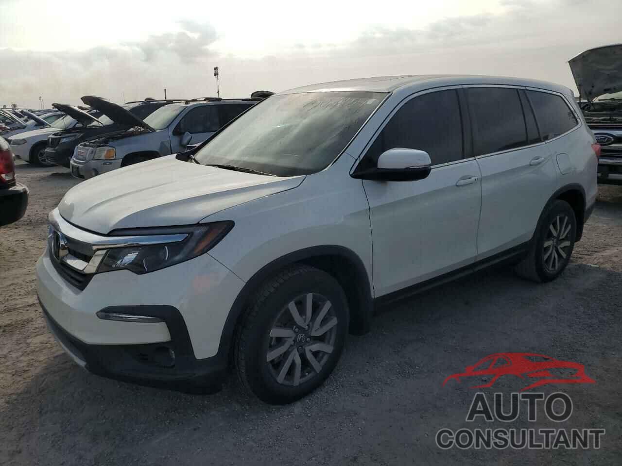 HONDA PILOT 2019 - 5FNYF5H53KB024831