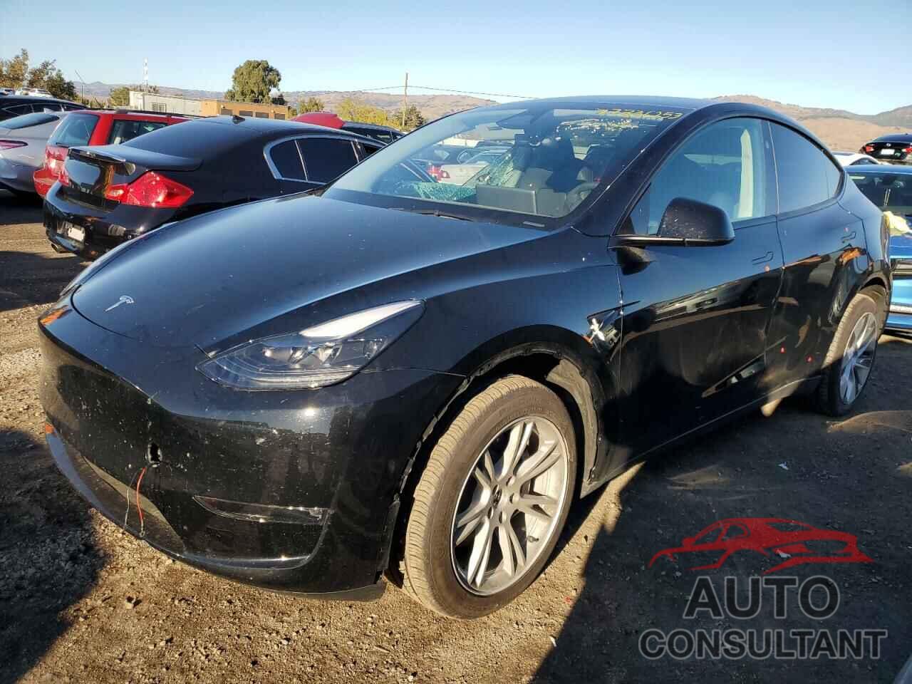 TESLA MODEL Y 2023 - 7SAYGDEEXPF828713