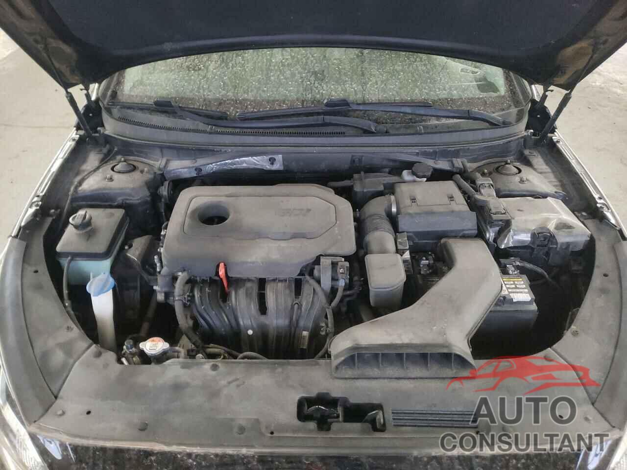 HYUNDAI SONATA 2019 - 5NPE24AF6KH734075