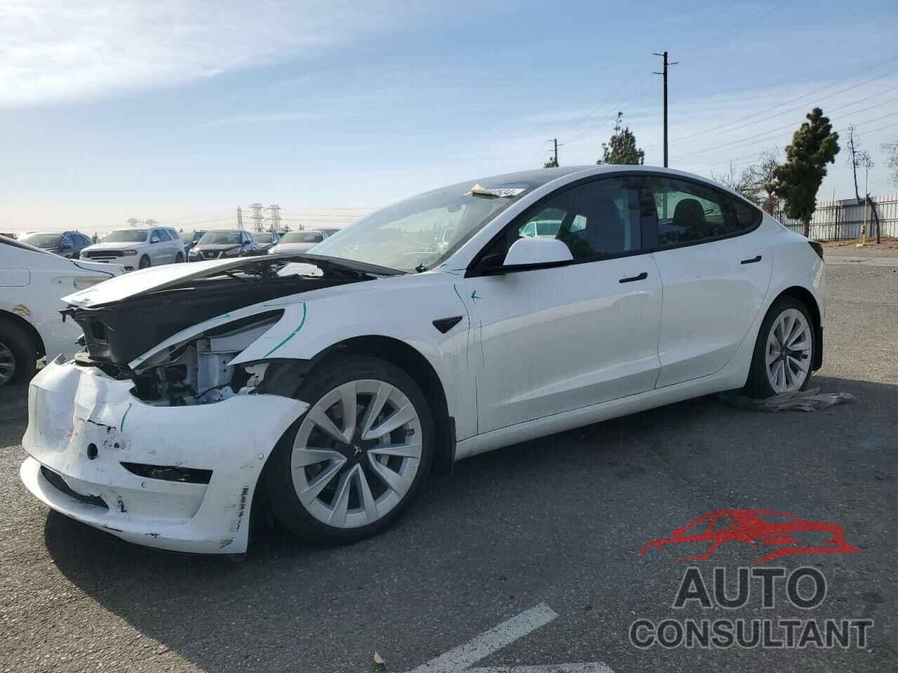 TESLA MODEL 3 2021 - 5YJ3E1EA1MF941549