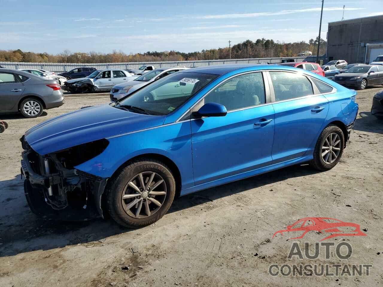 HYUNDAI SONATA 2018 - 5NPE24AF0JH671005