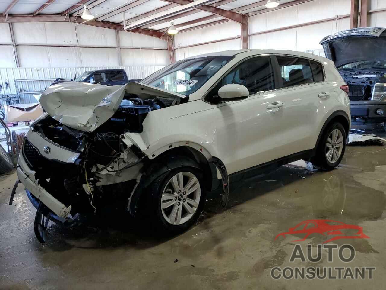 KIA SPORTAGE 2019 - KNDPM3ACXK7574242