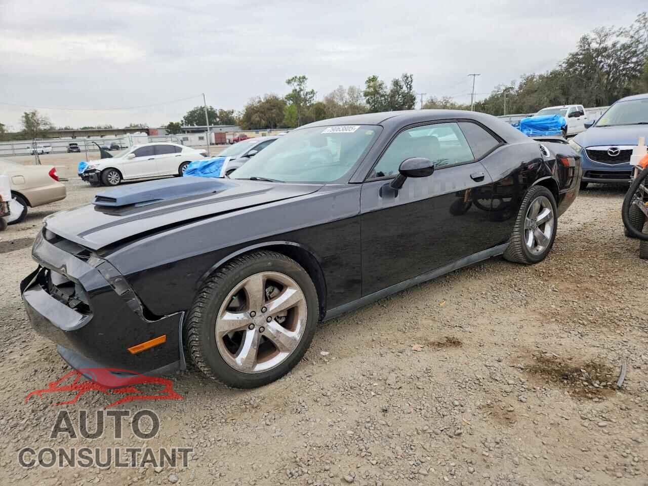 DODGE CHALLENGER 2011 - 2B3CJ5DTXBH541004