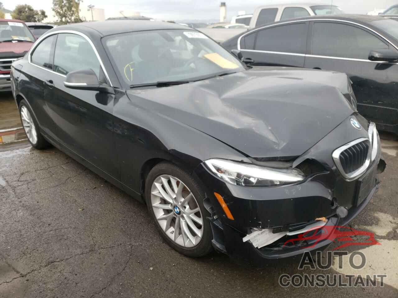 BMW 2 SERIES 2016 - WBA1F9C59GV545686