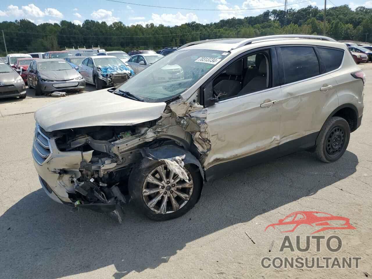 FORD ESCAPE 2017 - 1FMCU0J9XHUC89306