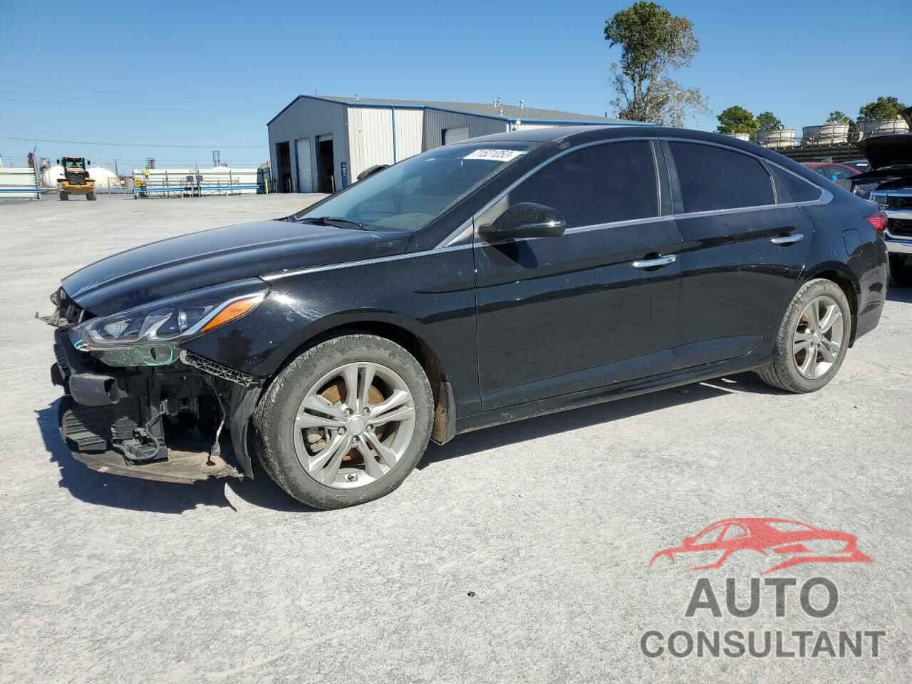 HYUNDAI SONATA 2019 - 5NPE34AFXKH767545