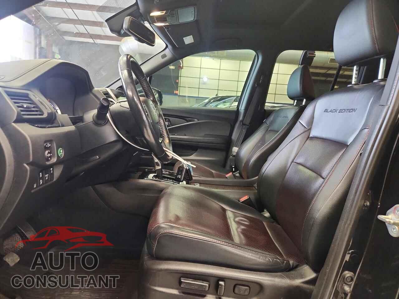 HONDA RIDGELINE 2019 - 5FPYK3F85KB009946