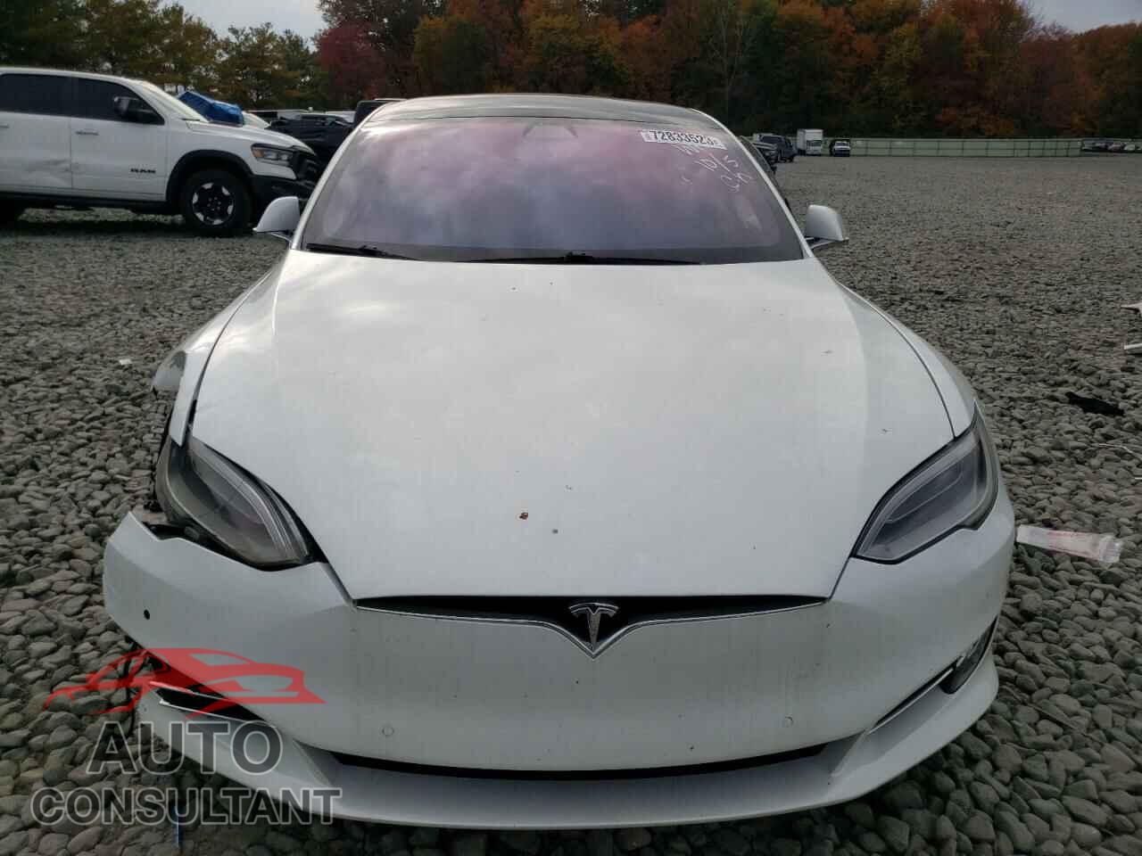 TESLA MODEL S 2019 - 5YJSA1E20KF303841