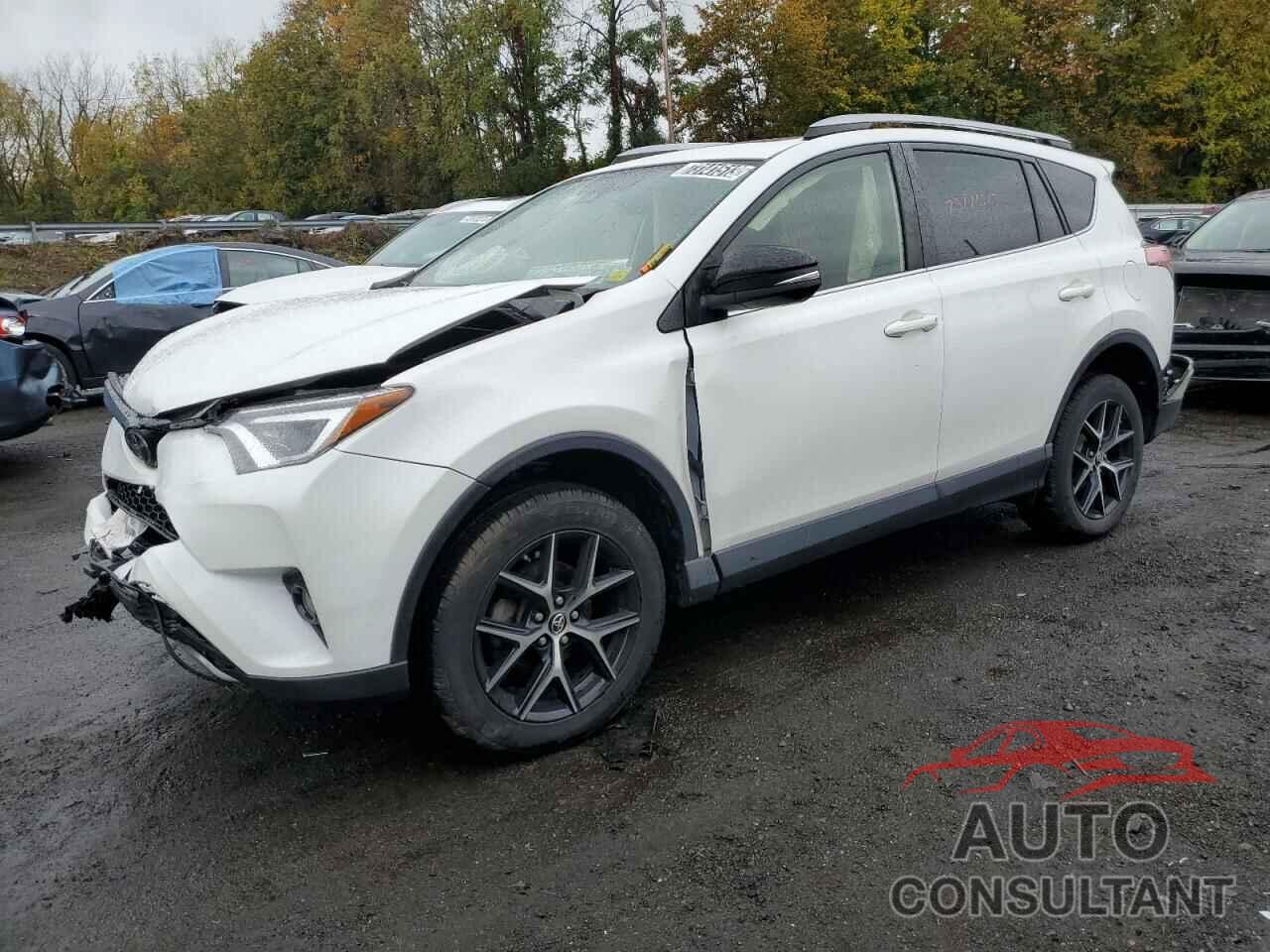 TOYOTA RAV4 2018 - JTMJFREV9JJ243085