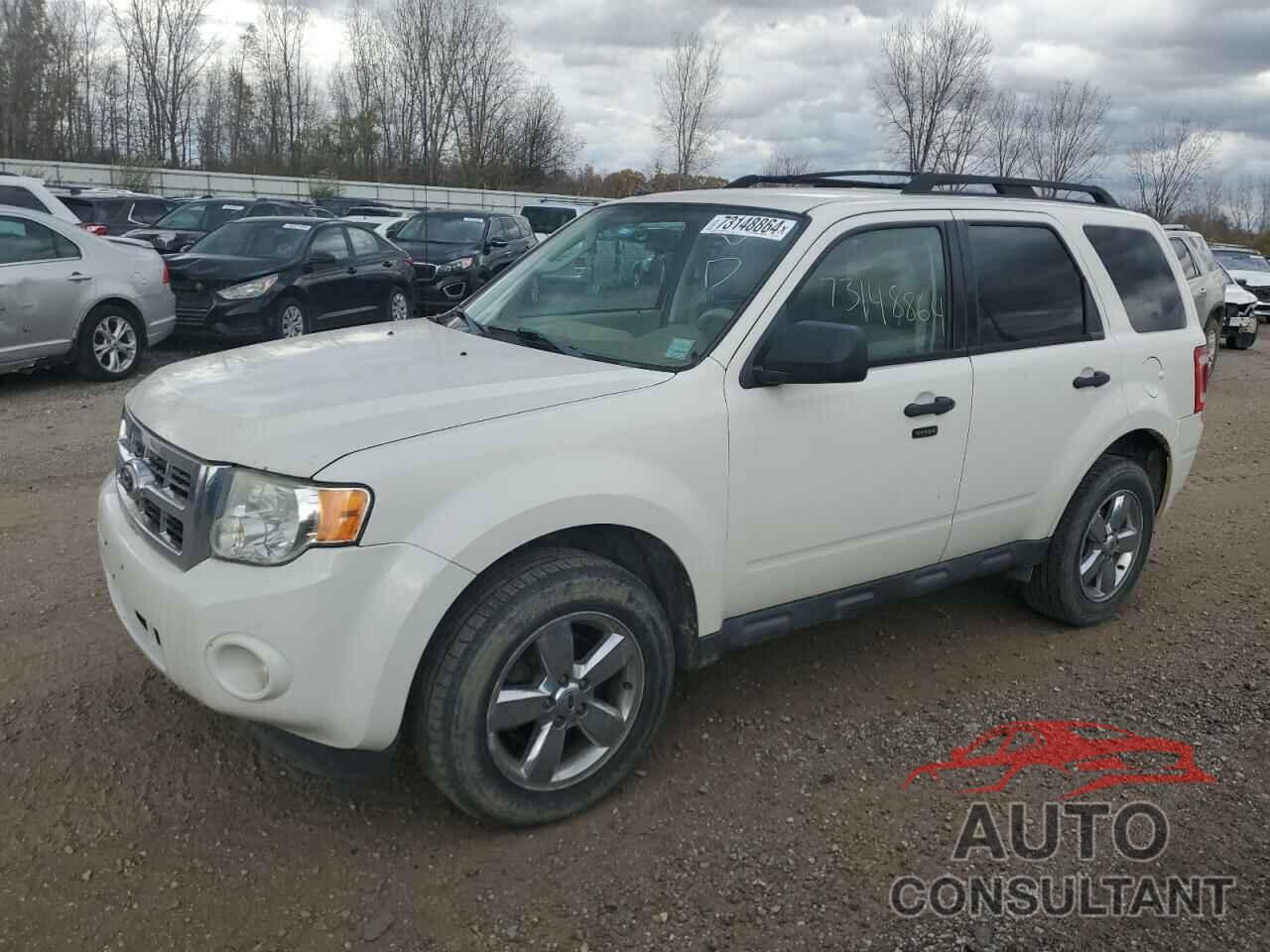 FORD ESCAPE 2010 - 1FMCU9DG1AKC05793