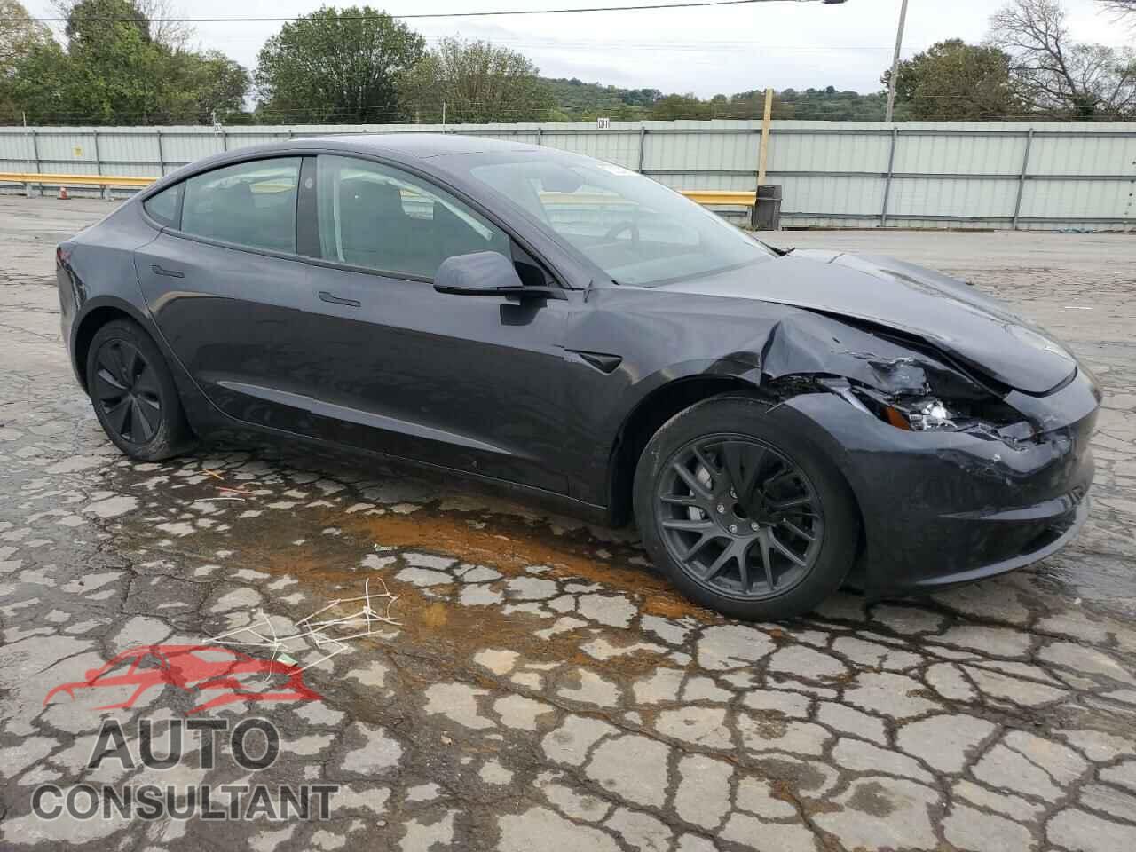 TESLA MODEL 3 2024 - 5YJ3E1EA3RF784811