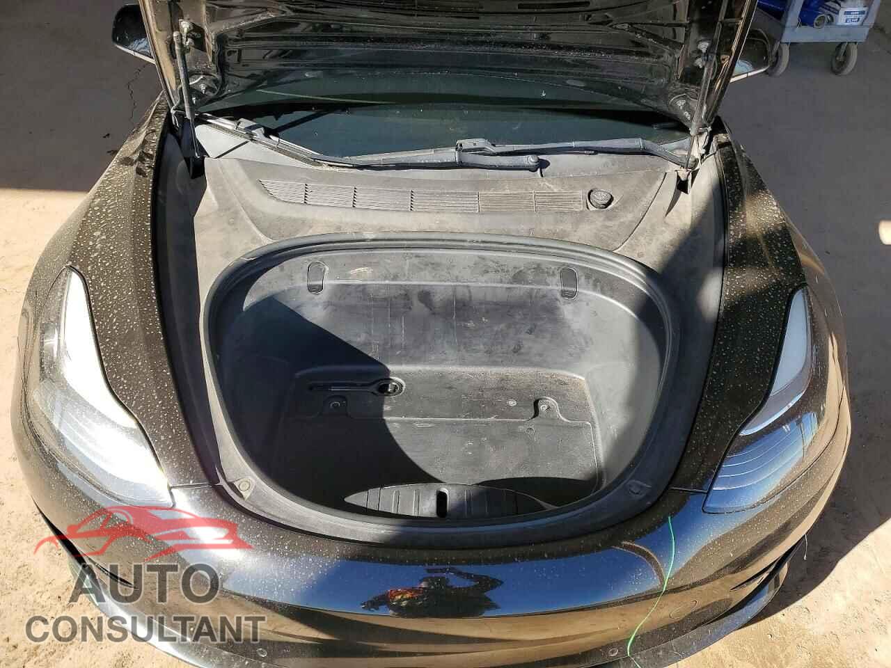 TESLA MODEL 3 2019 - 5YJ3E1EA8KF395278