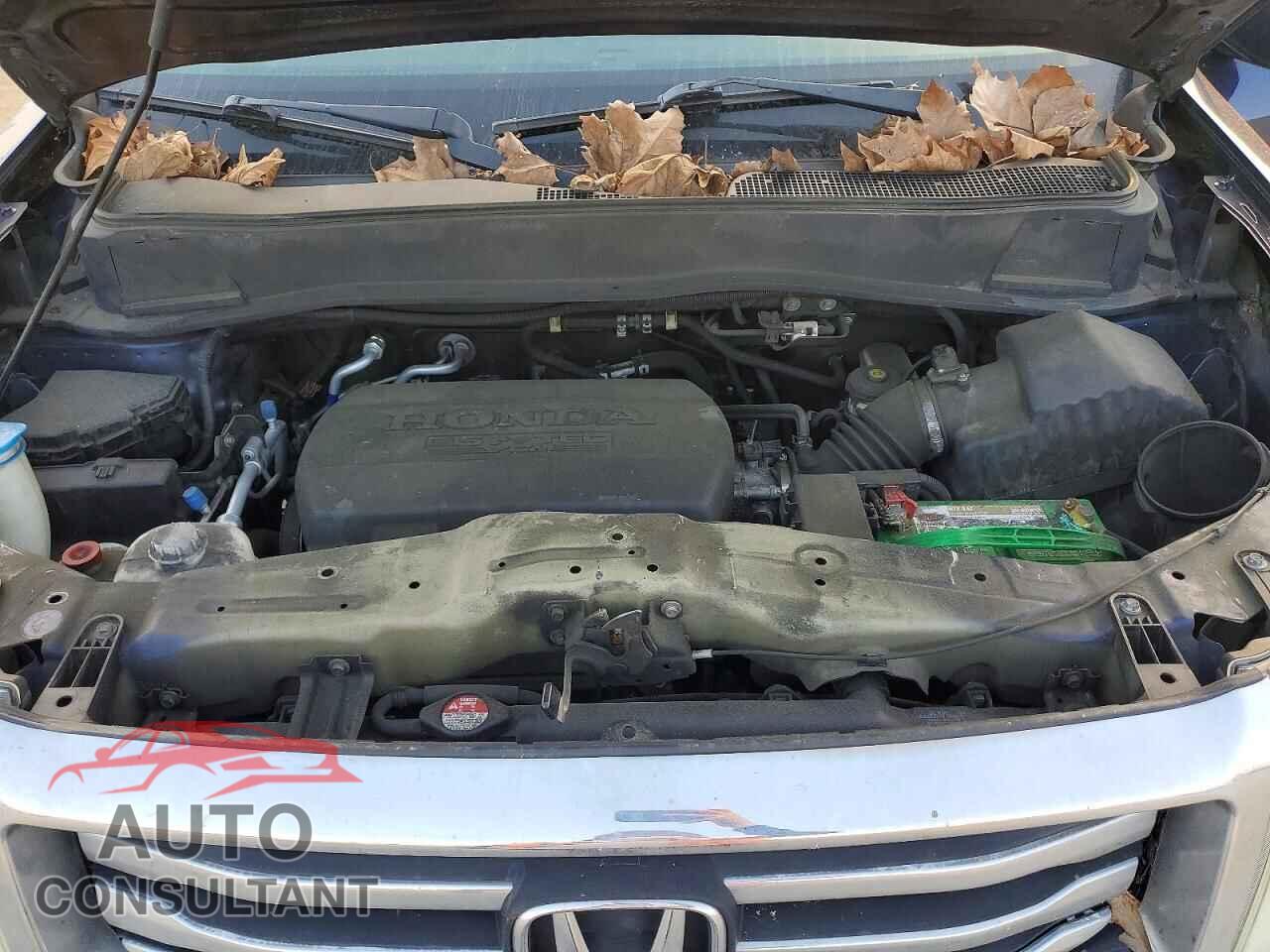 HONDA PILOT 2013 - 5FNYF4H29DB033536