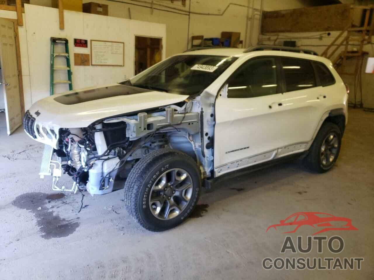 JEEP CHEROKEE 2019 - 1C4PJMBX2KD418908