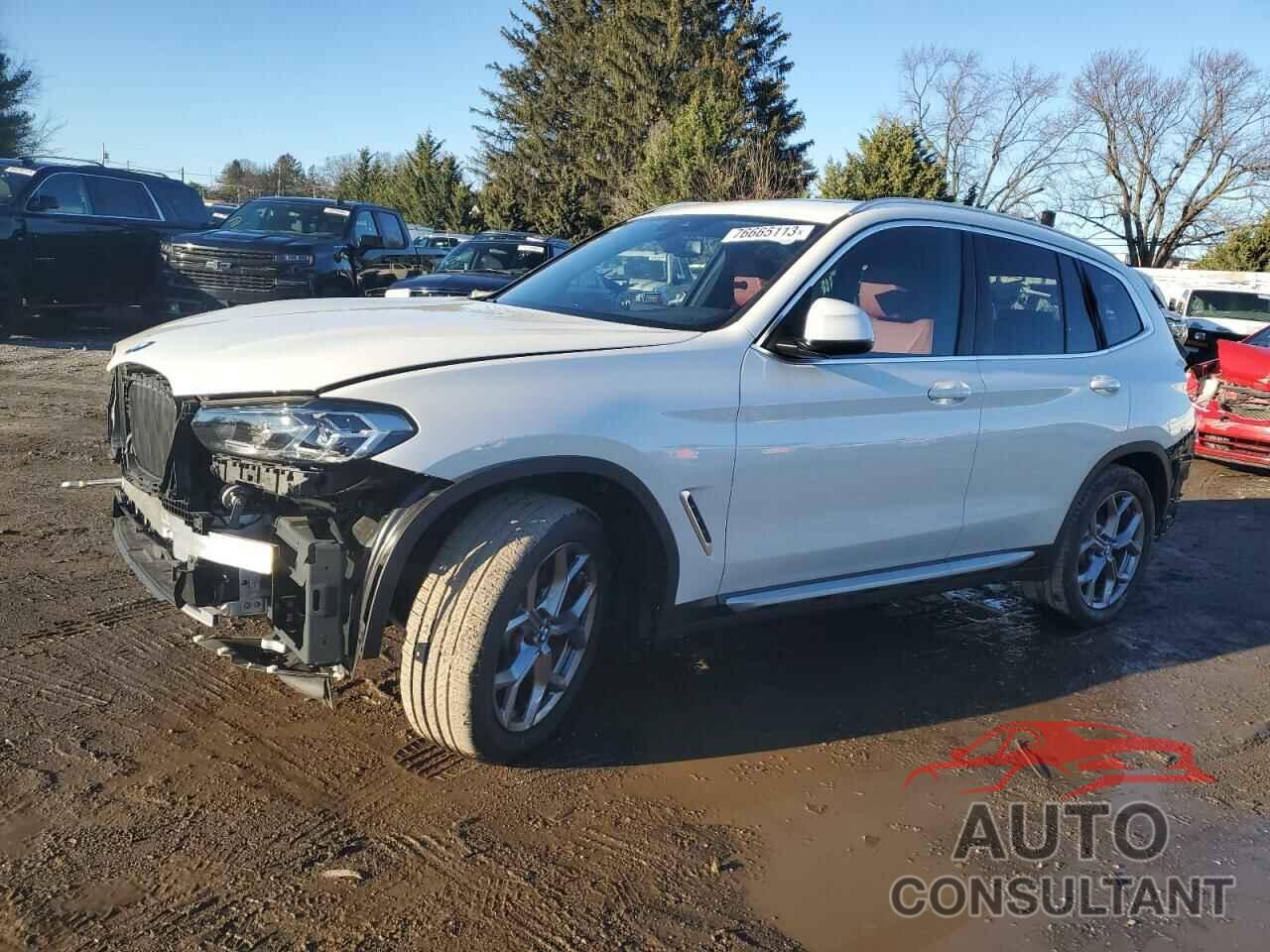 BMW X3 2023 - 5UX53DP03P9R51176