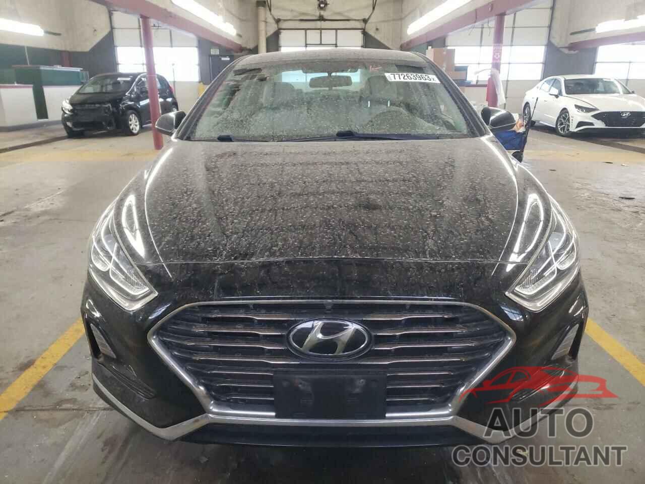 HYUNDAI SONATA 2019 - 5NPE24AF6KH734075