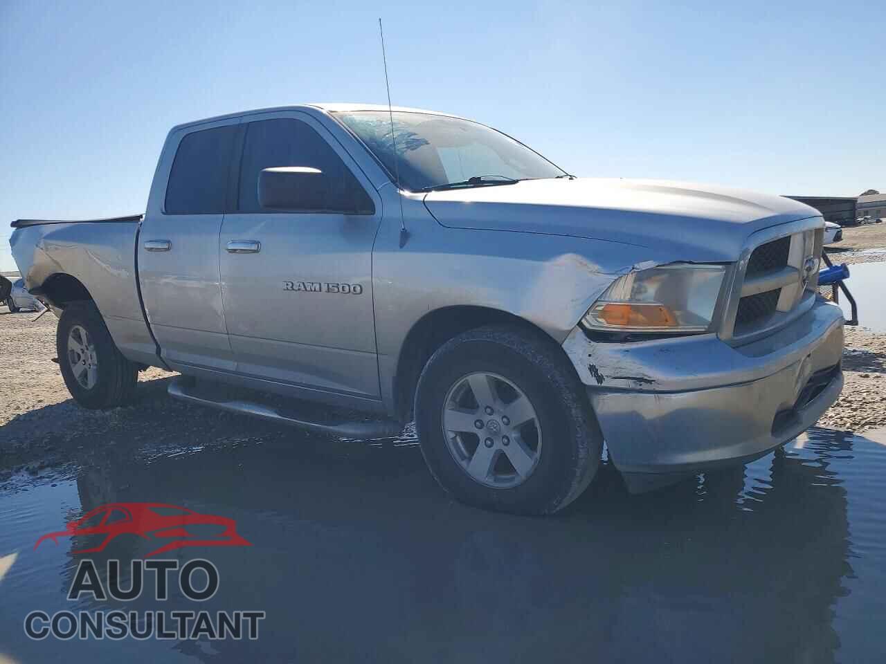 DODGE All Models 2011 - 1D7RB1GP2BS609565