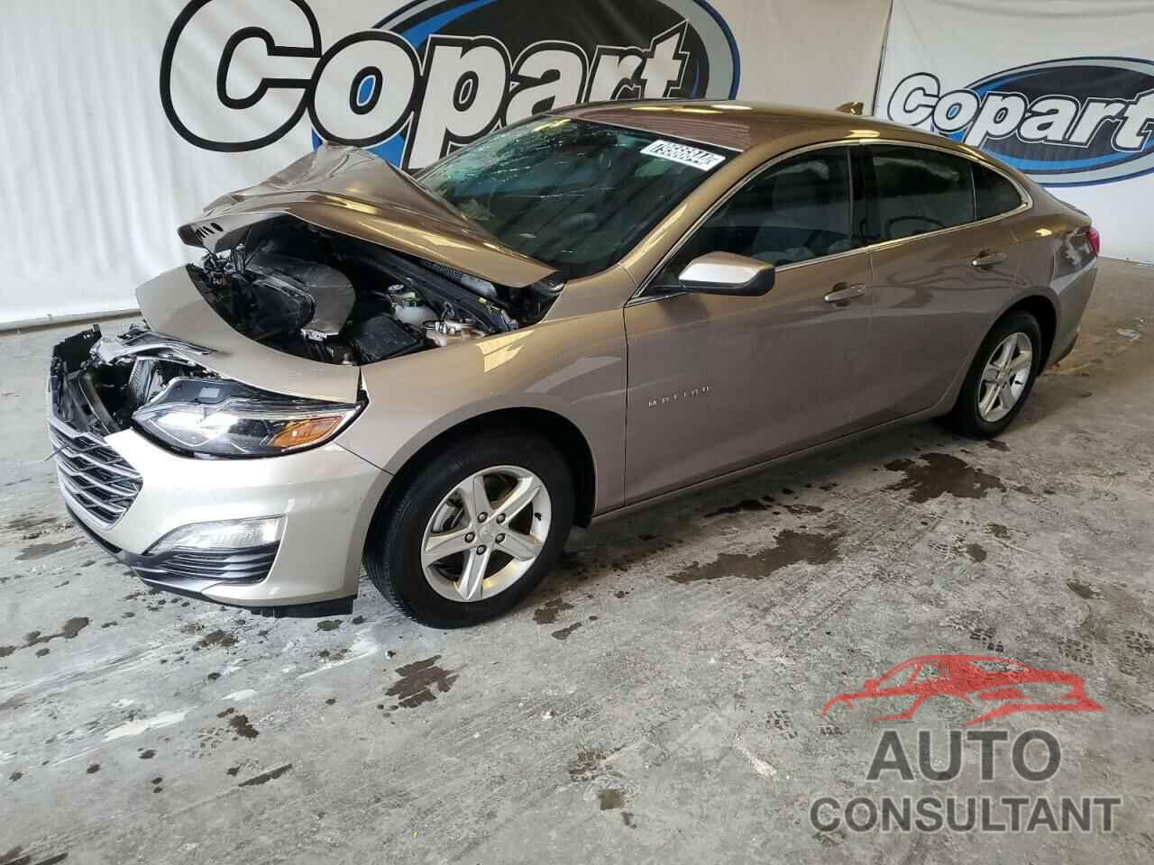 CHEVROLET MALIBU 2023 - 1G1ZD5ST8PF224830