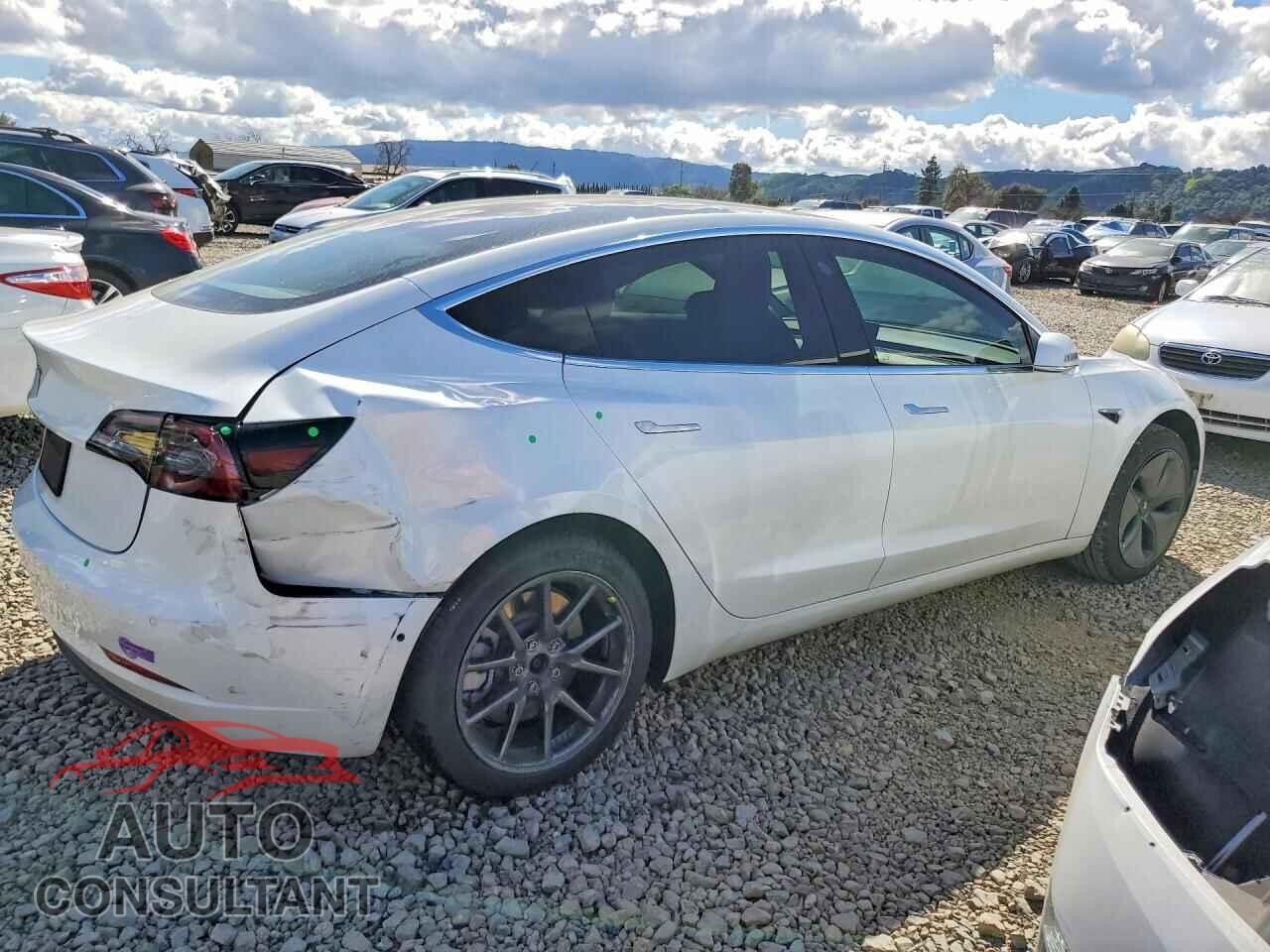 TESLA MODEL 3 2019 - 5YJ3E1EA3KF430812