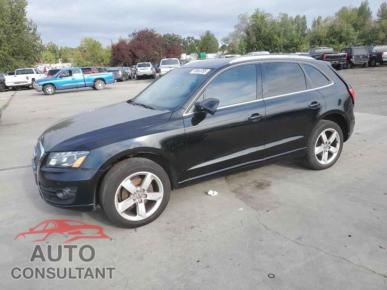 AUDI Q5 2012 - WA1LFAFP9CA004028