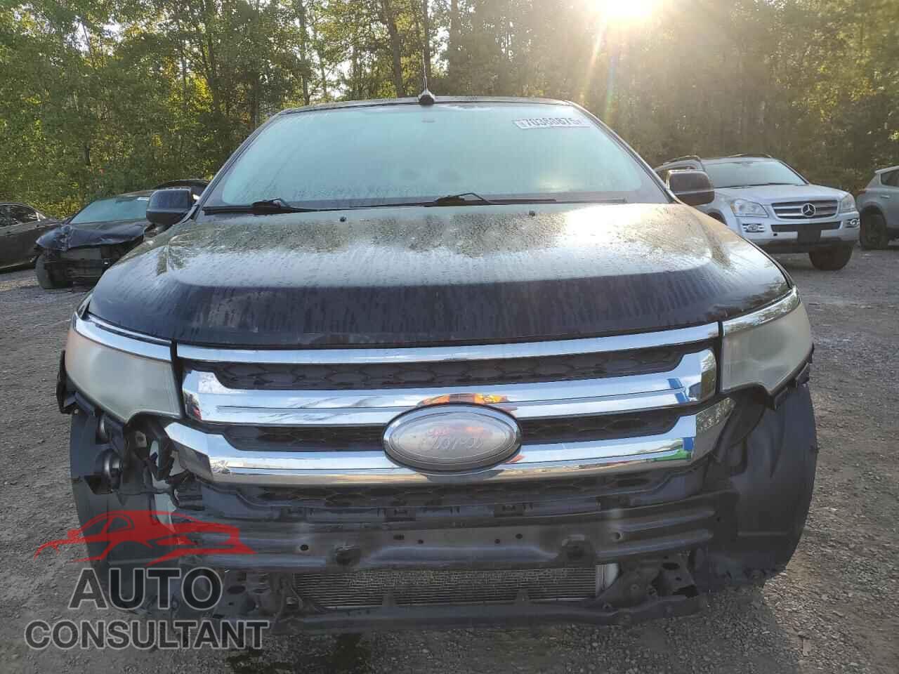 FORD EDGE 2011 - 2FMDK4KC7BBB48945