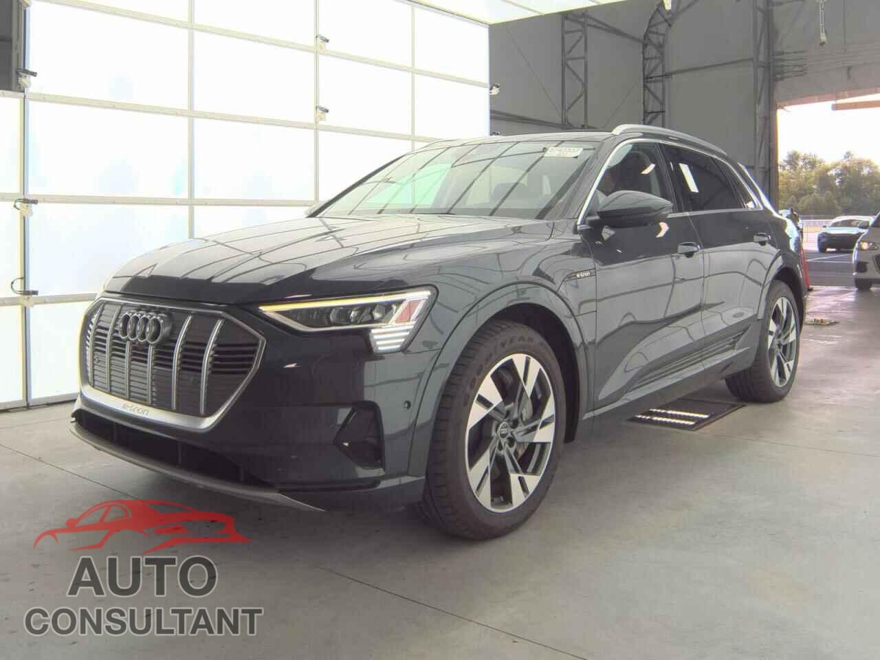 AUDI E-TRON 2022 - WA1LAAGE2NB013811