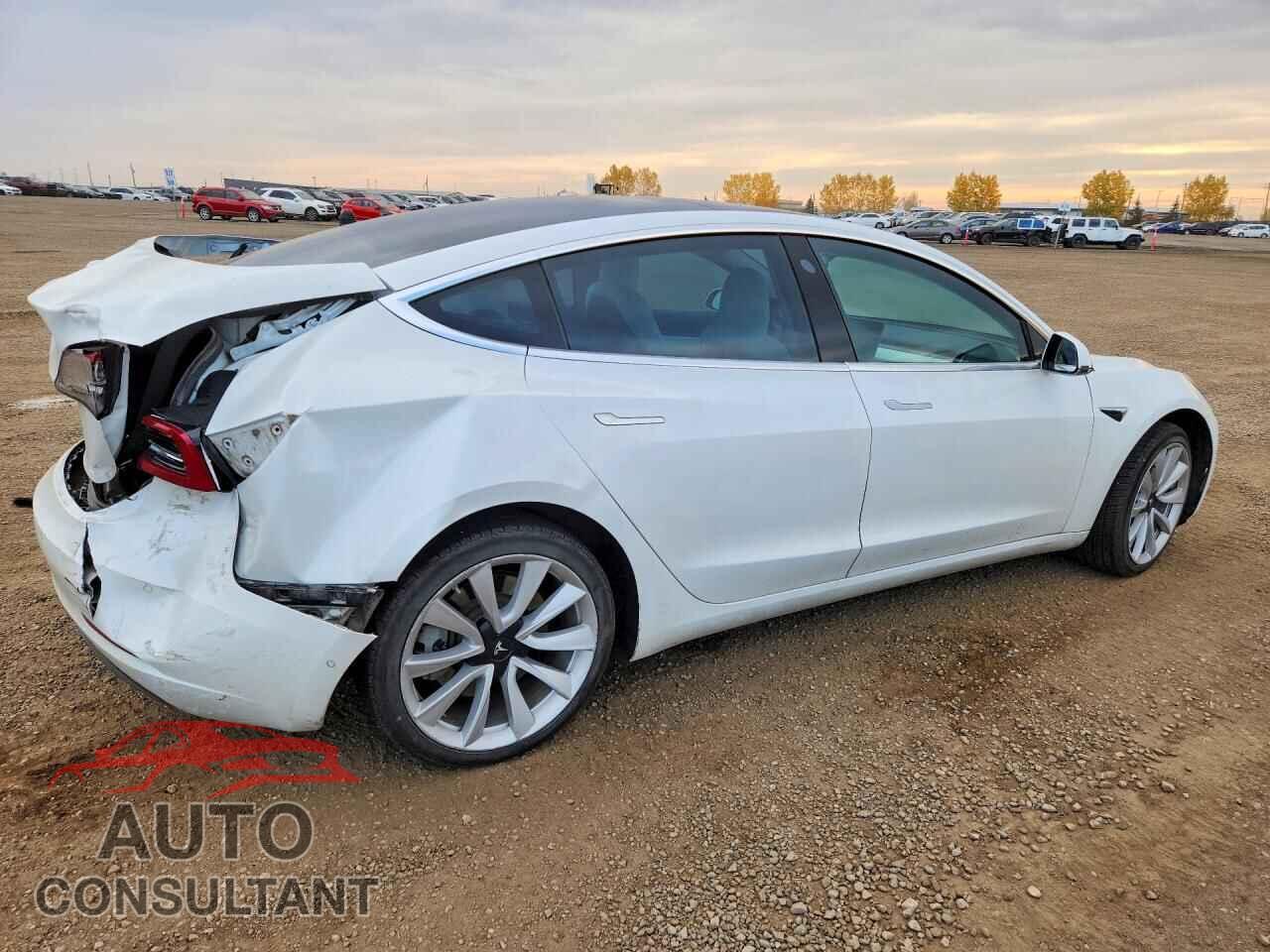 TESLA MODEL 3 2020 - 5YJ3E1EA4LF731929