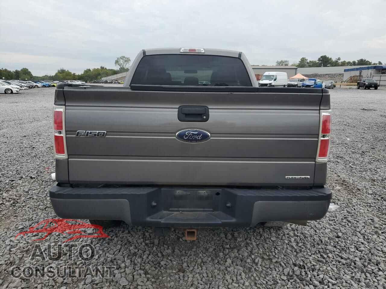FORD F-150 2014 - 1FTFX1EF1EKF29848