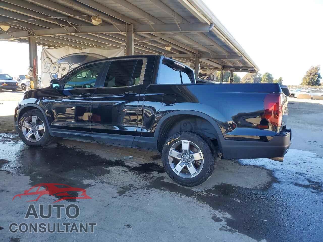 HONDA RIDGELINE 2025 - 5FPYK3F5XSB040678