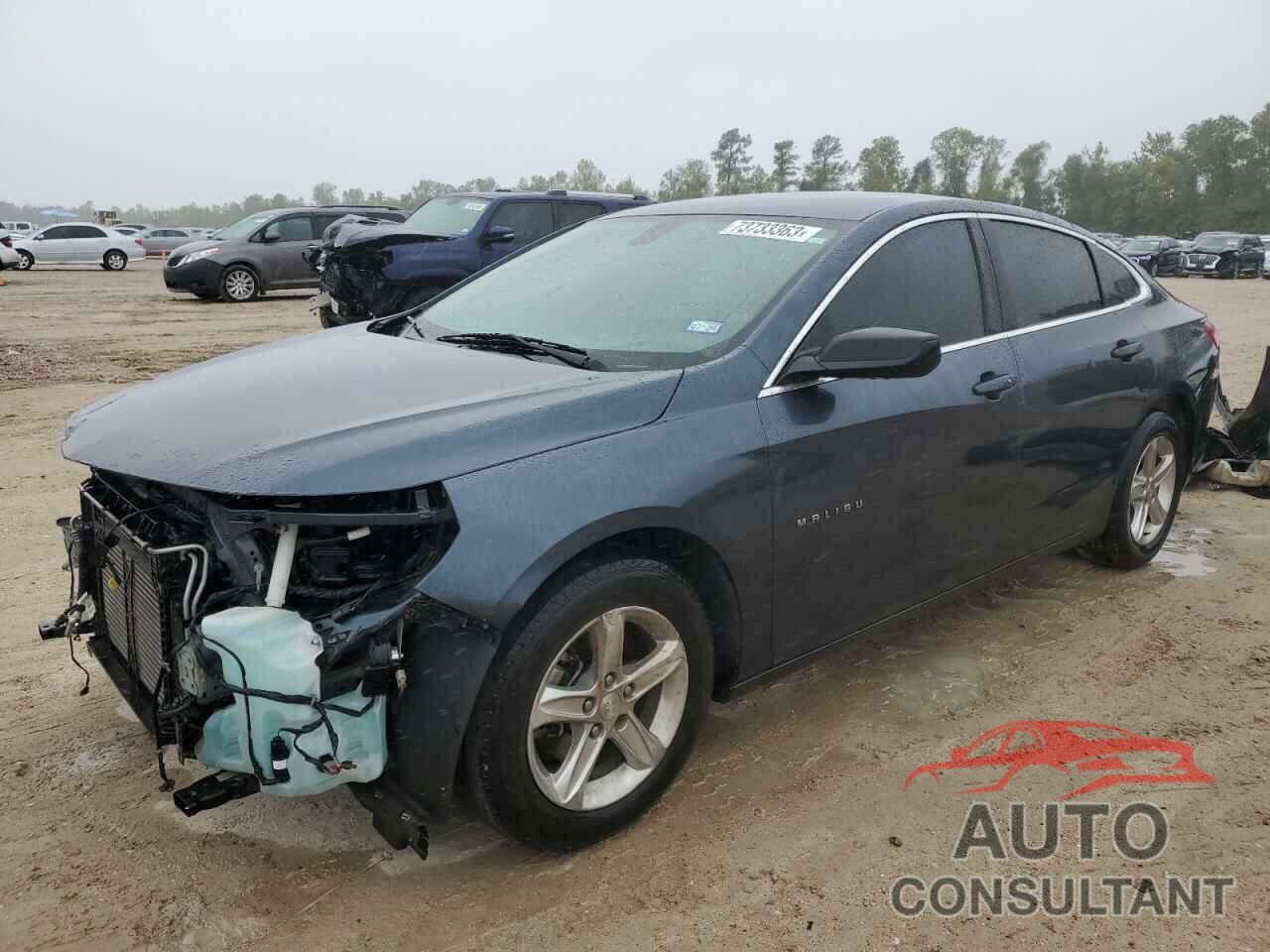 CHEVROLET MALIBU 2019 - 1G1ZB5ST7KF174002