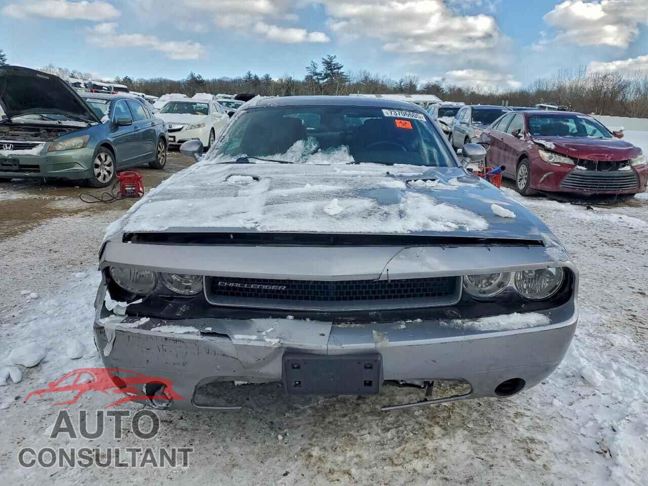 DODGE CHALLENGER 2013 - 2C3CDYAG9DH614501