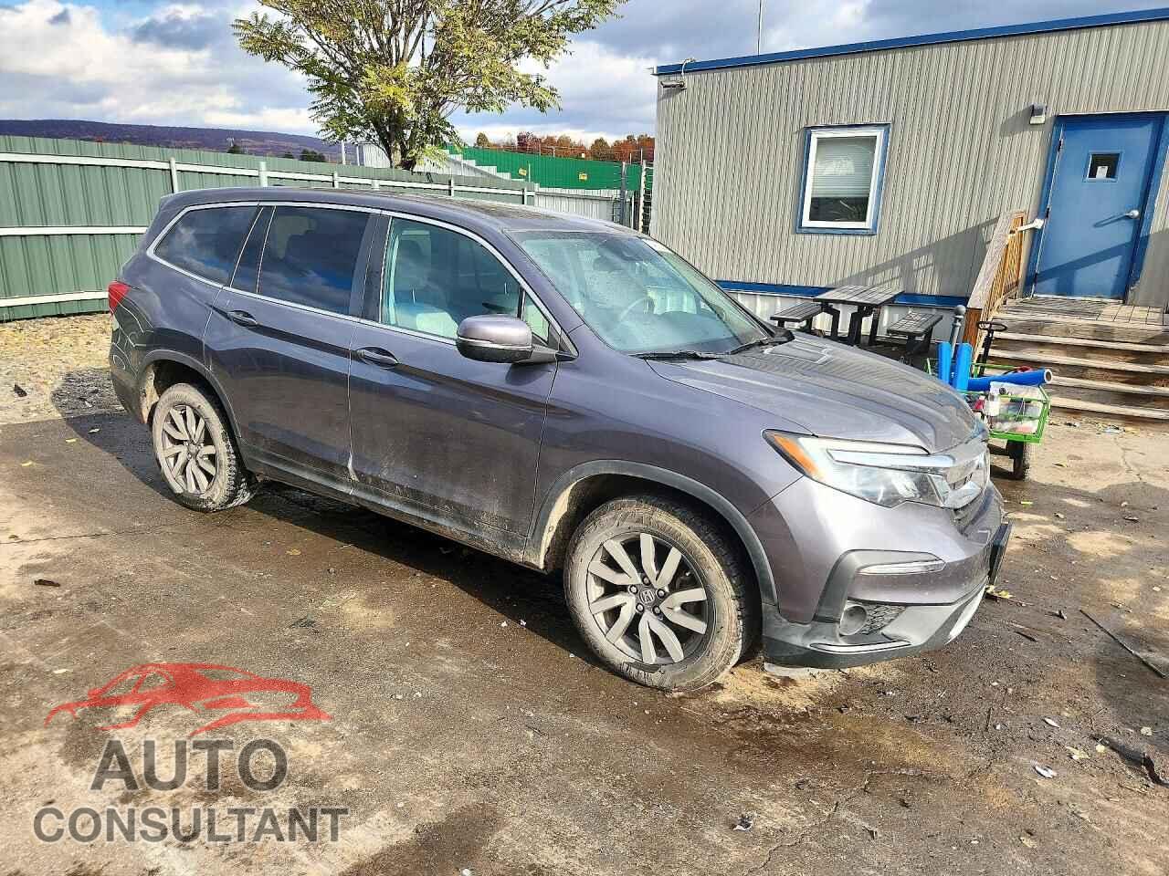 HONDA PILOT 2019 - 5FNYF6H33KB070227