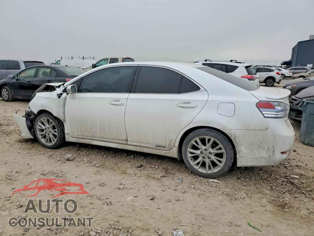 LEXUS HS 2010 - JTHBB1BA9A2018807