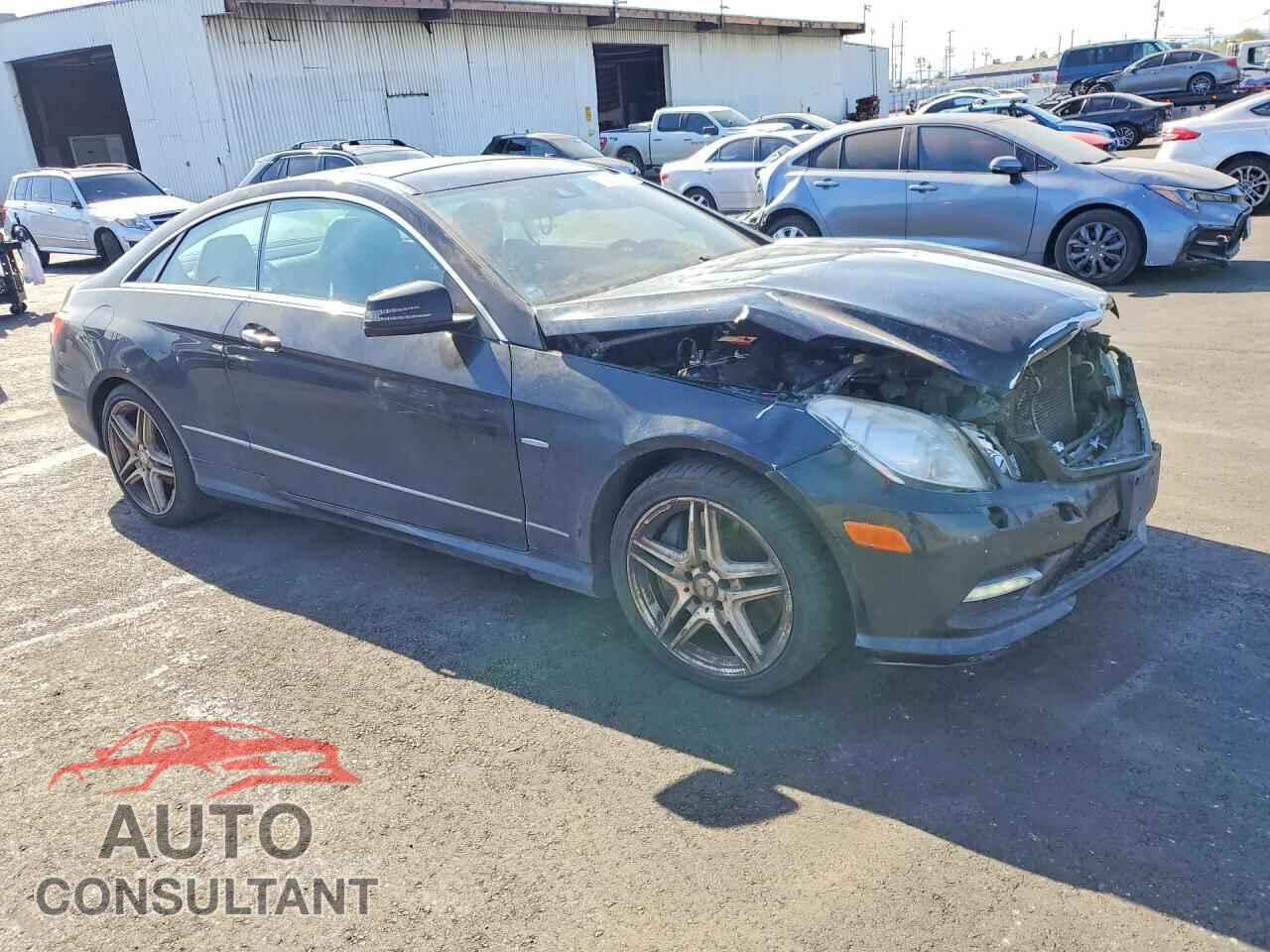 MERCEDES-BENZ E-CLASS 2012 - WDDKJ7DB9CF162842