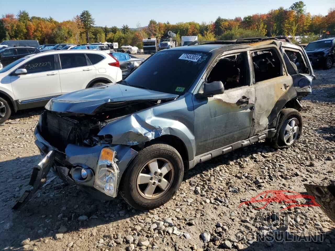FORD ESCAPE 2011 - 1FMCU9D7XBKC58316