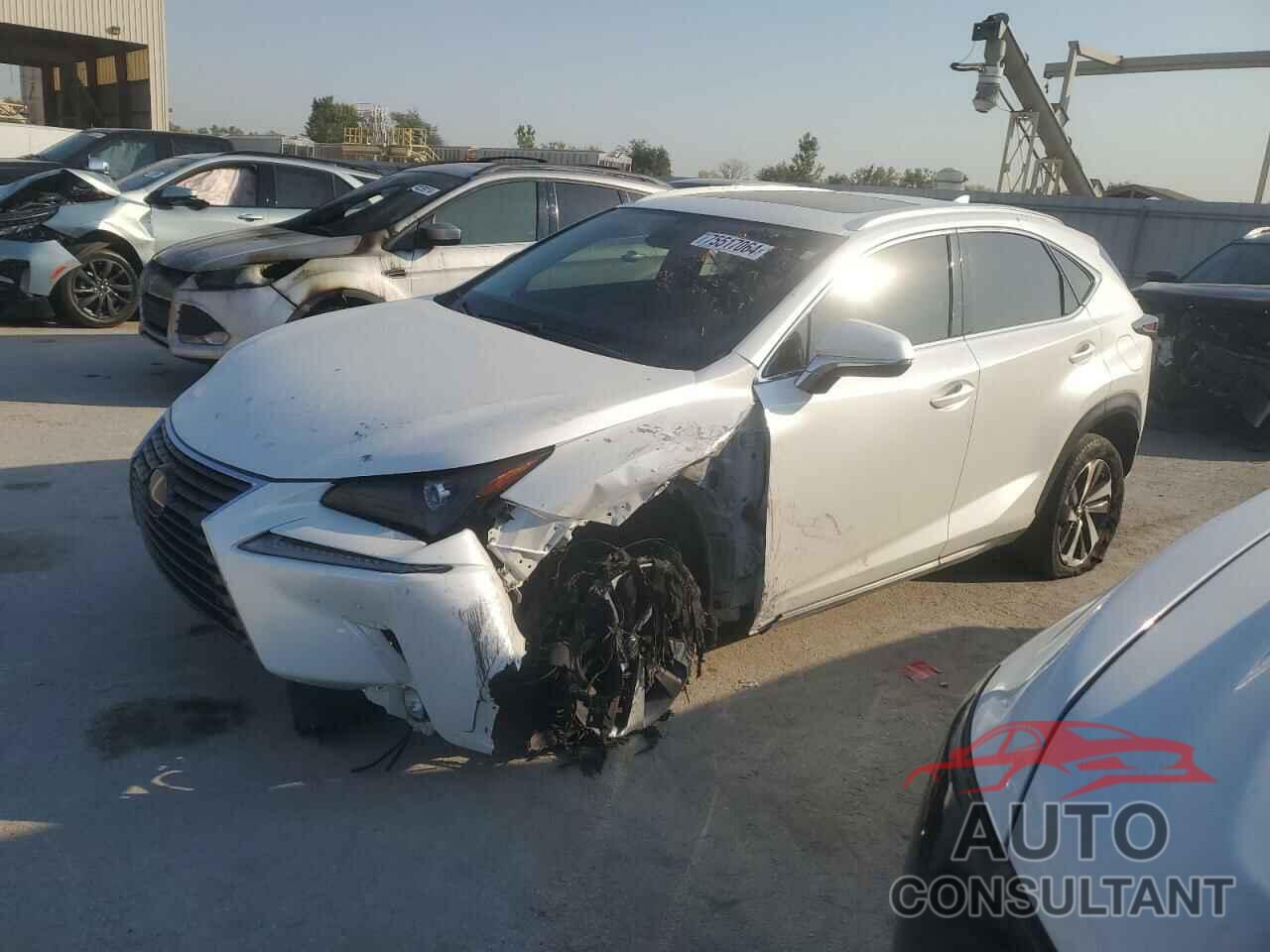 LEXUS NX 2019 - JTJBARBZ6K2184886