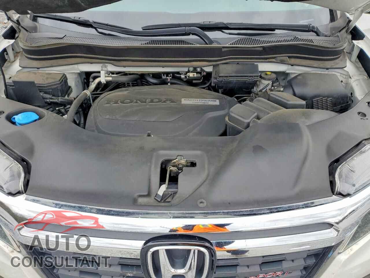 HONDA RIDGELINE 2019 - 5FPYK3F14KB045503