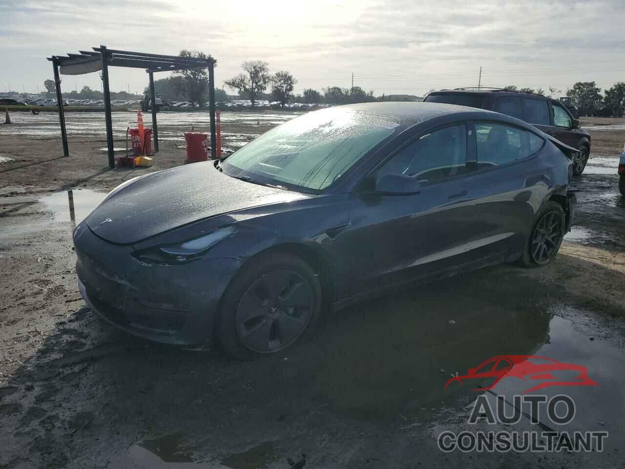 TESLA MODEL 3 2021 - 5YJ3E1EA2MF042618