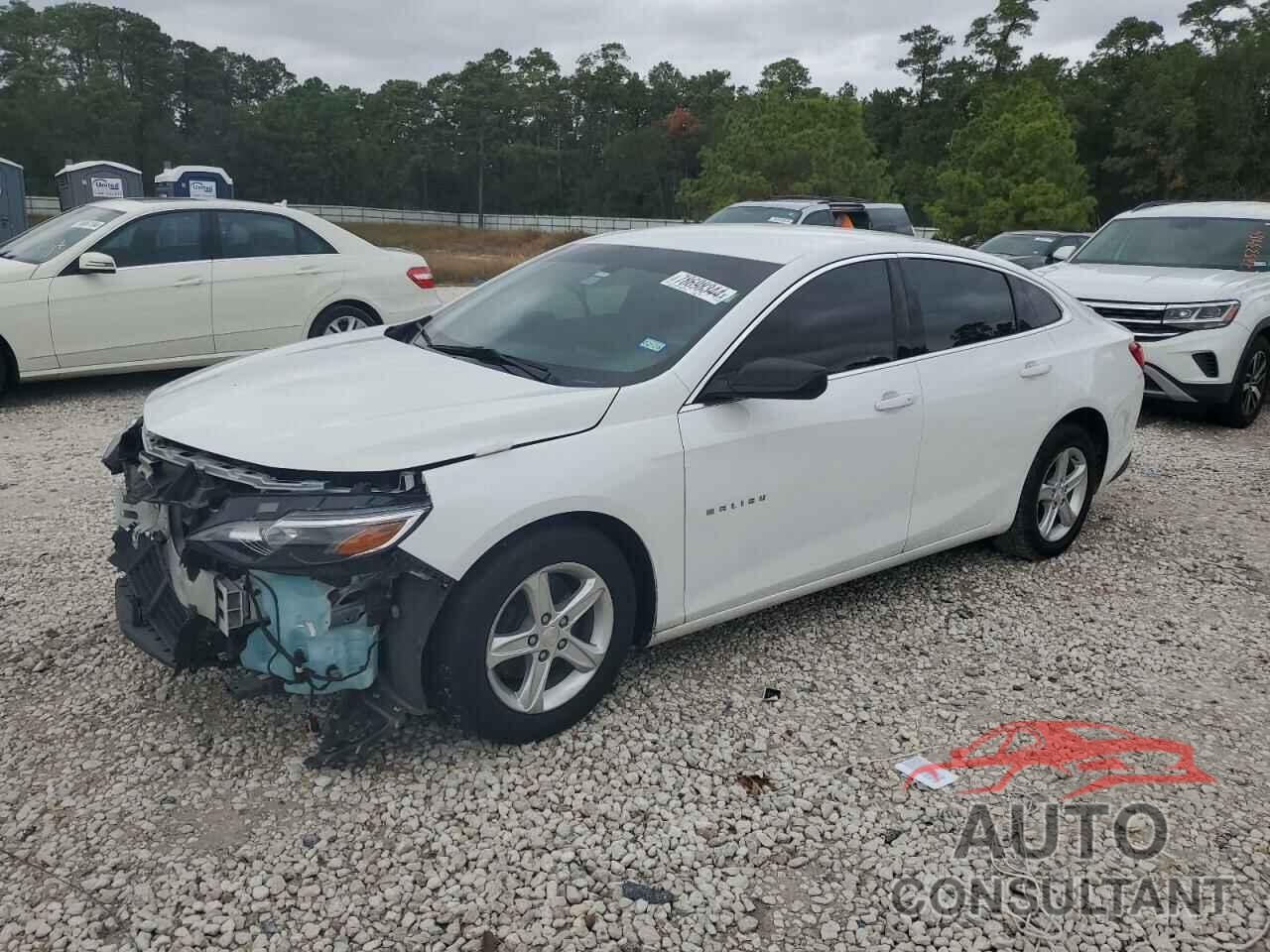 CHEVROLET MALIBU 2019 - 1G1ZC5ST7KF200384