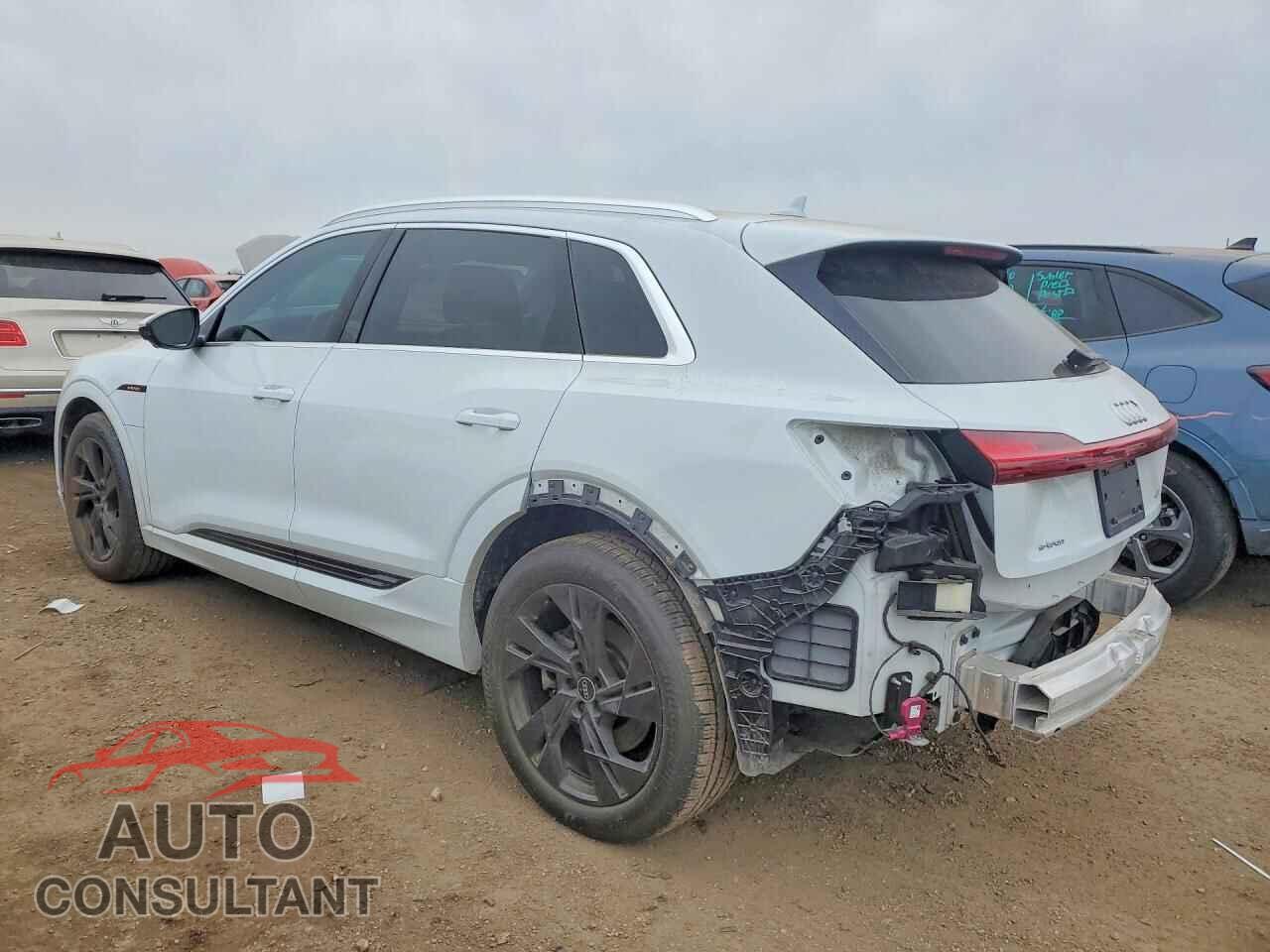 AUDI E-TRON 2022 - WA1LAAGE6NB014153