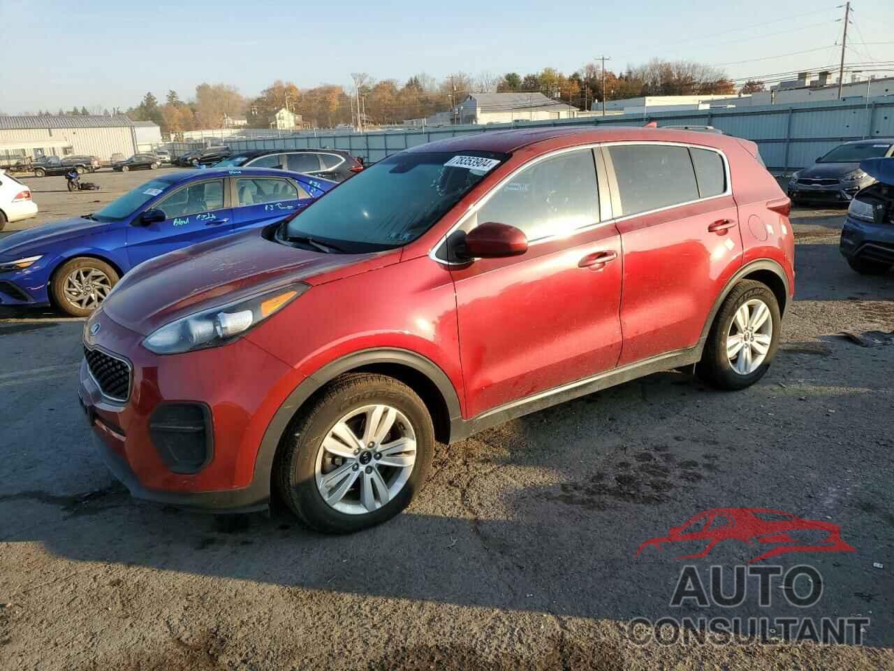 KIA SPORTAGE 2019 - KNDPM3AC3K7593134