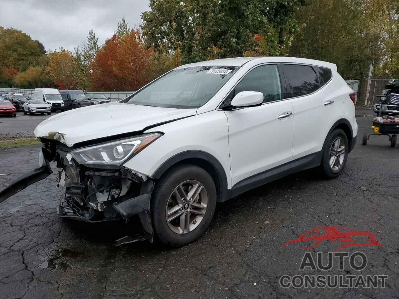 HYUNDAI SANTA FE 2017 - 5NMZTDLB5HH001269