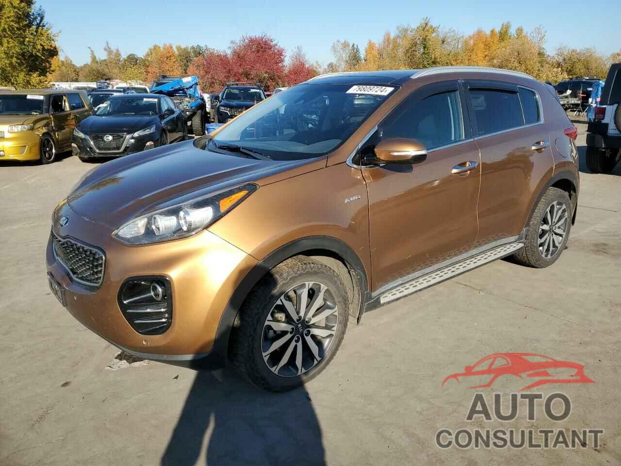 KIA SPORTAGE 2017 - KNDPNCAC6H7078778